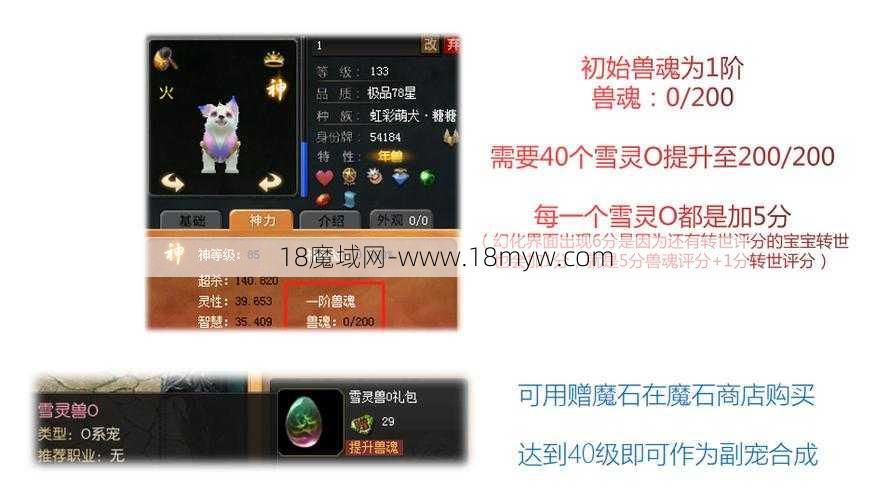 魔域8兽魂石等级指南，魔域兽魂石指南：8级秘籍 - 魔域私服,魔域sf,私服魔域,魔域私服发布网,魔域私服外挂